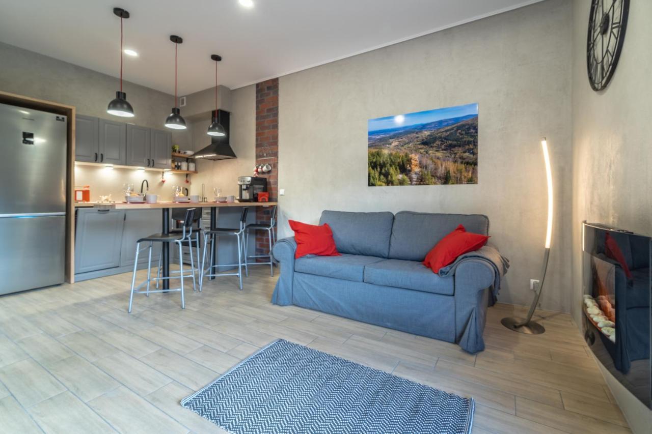 Apartamenty Pod Gondola Swieradow מראה חיצוני תמונה